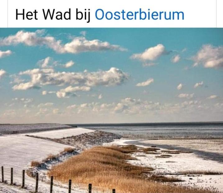 4-Persoons Vakantiehuisje Simmerwille Tzummarum Exterior foto